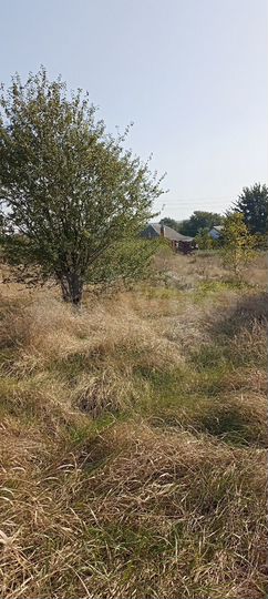 Участок 16 сот. (ИЖС)