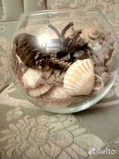 Композиция из ракушек в стекле