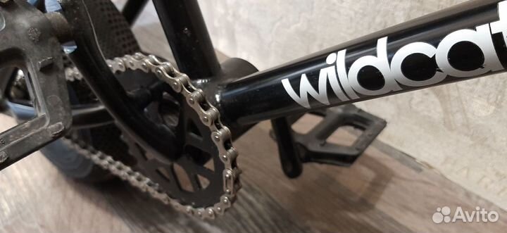 Mini bmx wildcat