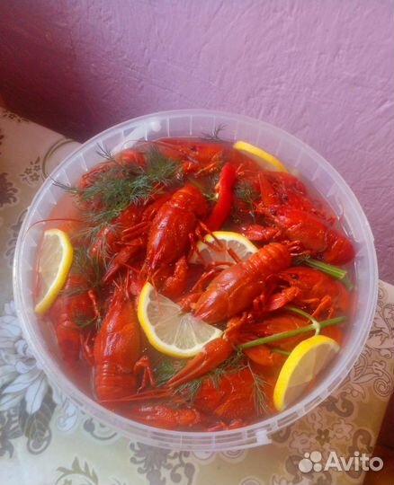 Свежесваренные Раки в ведре