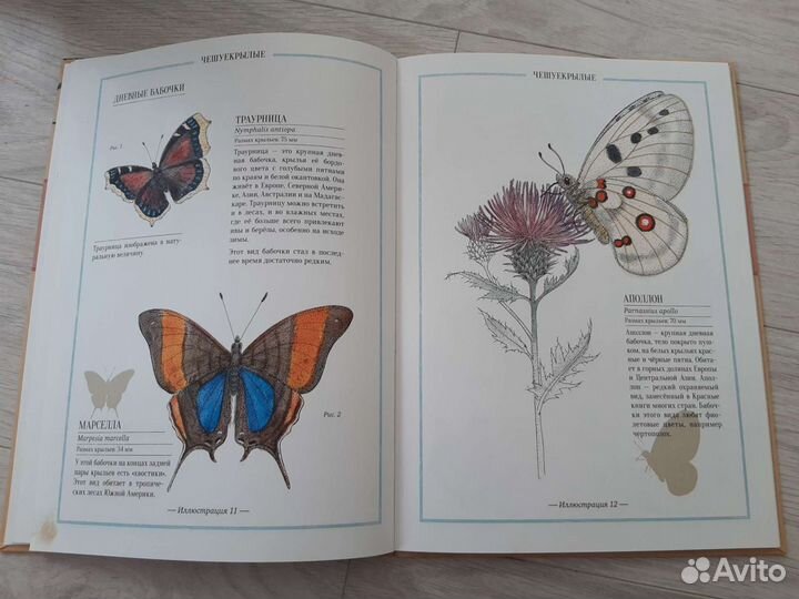 Книги для детей