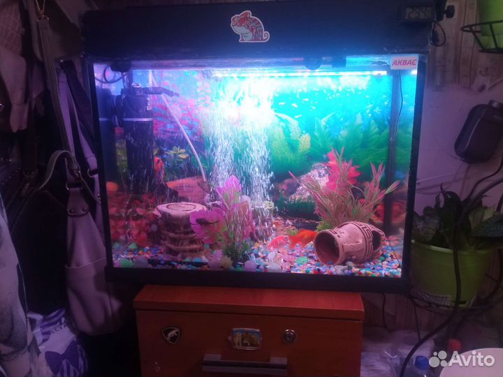 Аквариум 60л