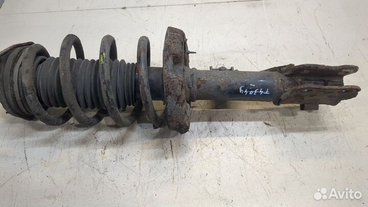 Амортизатор подвески киа Carens, 2014