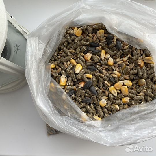 Корм для шиншилл и других грызунов