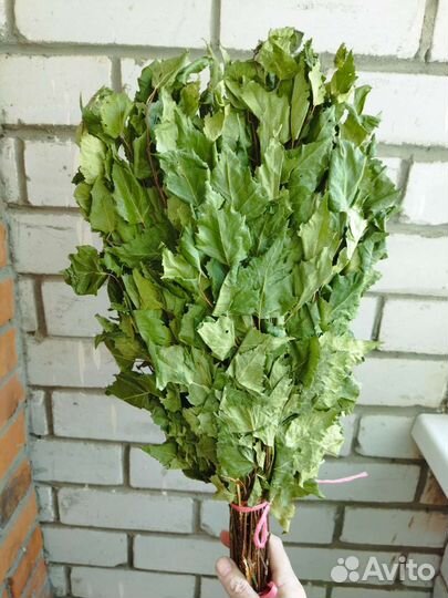 Веники для бани