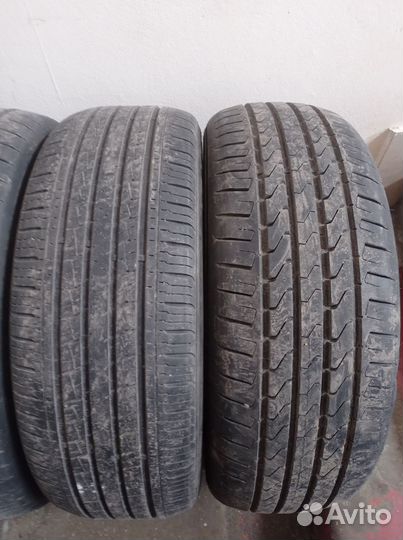 Accelera 651 Sport 2.25/55 R19 и 2.25/55 R19 19G