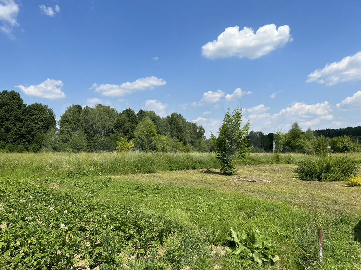 Участок 1,5 га (ИЖС)