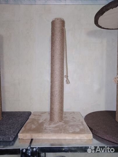 Когтеточка для кошек новая