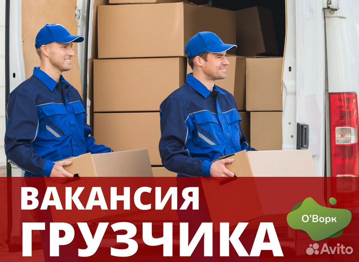 Вакансия грузчика. Код:cg083