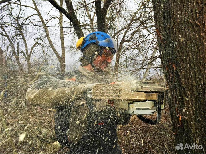 Спилить дерево