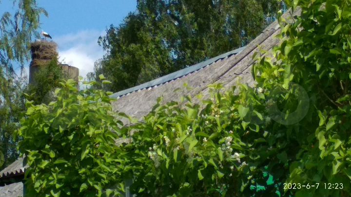 Дом 45,3 м² на участке 40 сот.