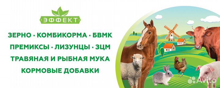 Комбикорм, премиксы