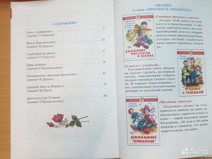 Вождь краснокожих