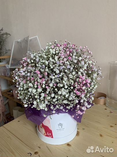 Букет из гипсофилы