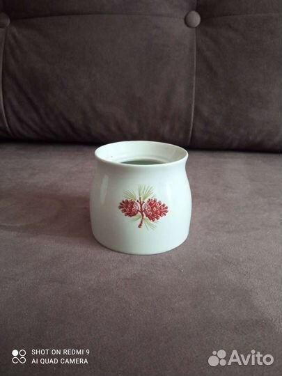 Сахарница СССР вербилки