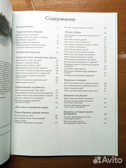 Энциклопедия. Зачем и Почему. Хомяки, бобры и друг