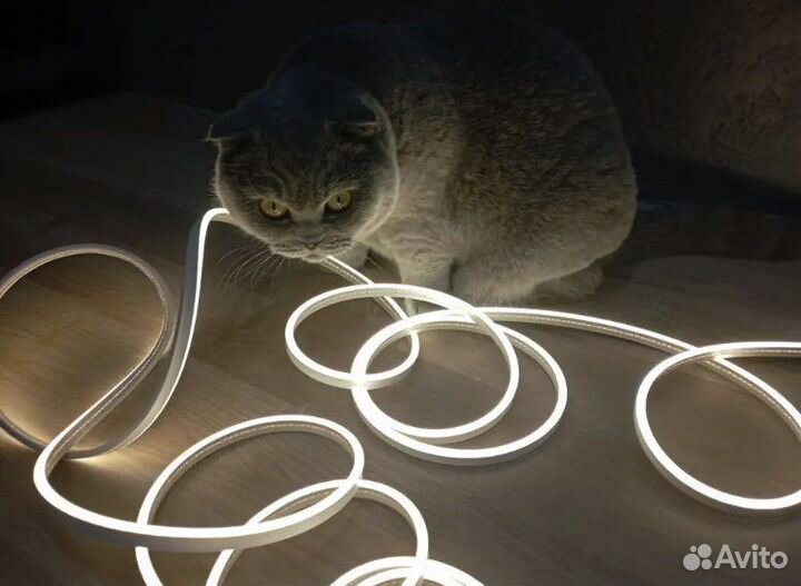 Гибкий неон