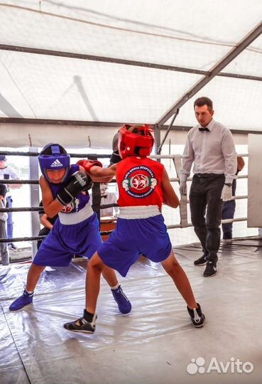 Индивидуальные и групповые тренировки по боксу