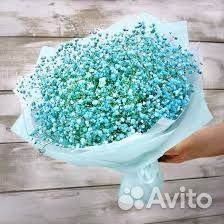 Букет из гипсофилы