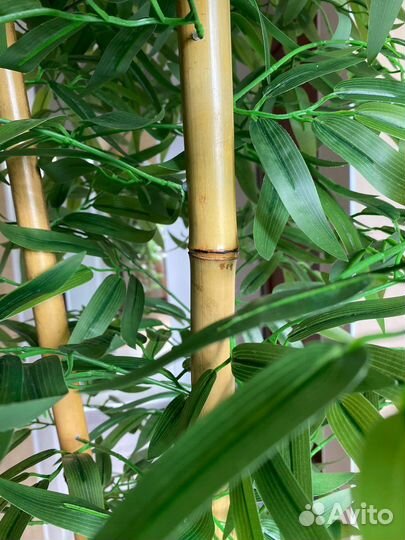 Искусственное дерево бамбук
