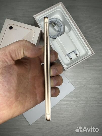 iPhone 8
