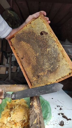 Мёд натуральный с семейной пасеки