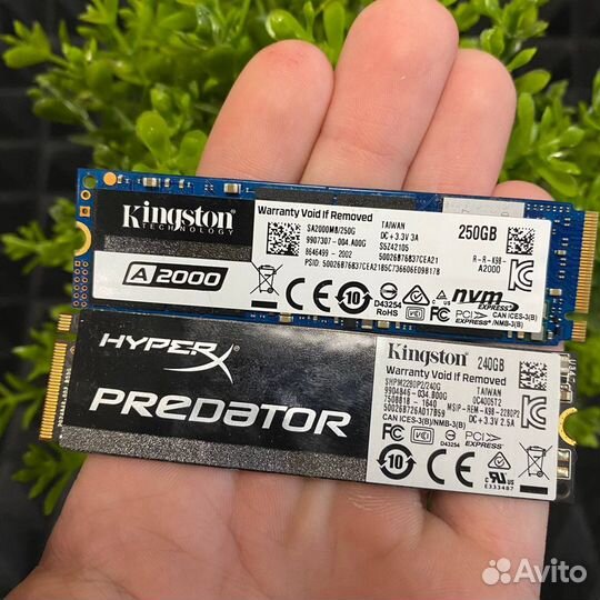 SSD M2 hyperx predator И kingston A2000
