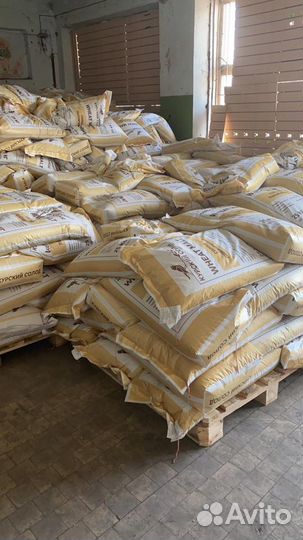 Курский Солод