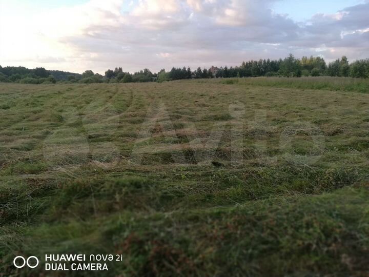 Участок 100 сот. (СНТ, ДНП)