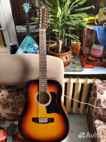 Двенадцатиструнная электроакустика