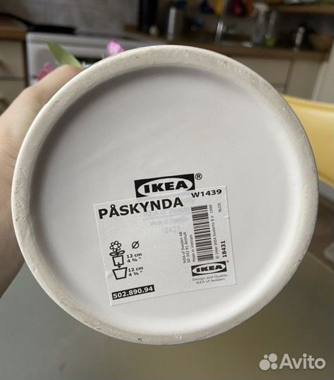 Новое Кашпо с цветами из IKEA