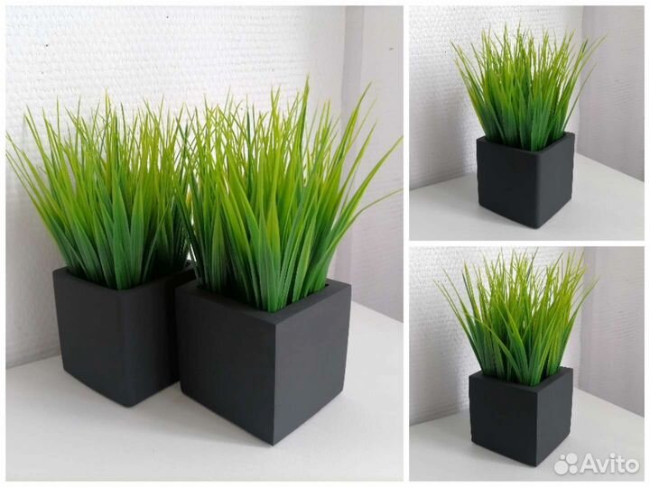 Осока в кашпо