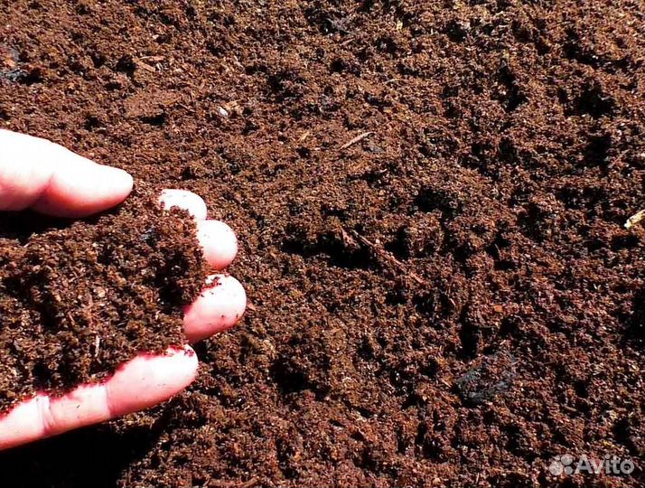 Земля, перегной с доставкой