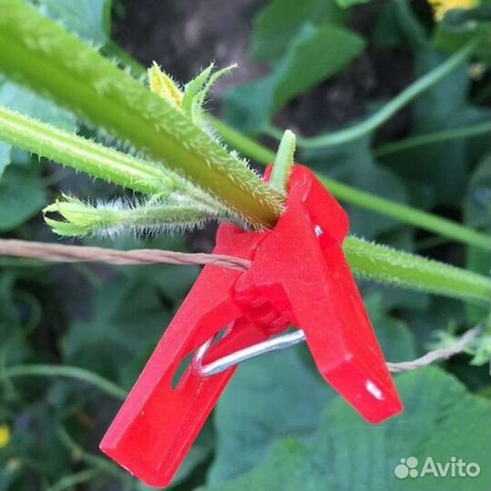Клипса для растений