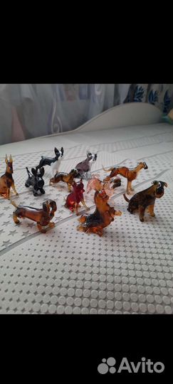 Породы собак