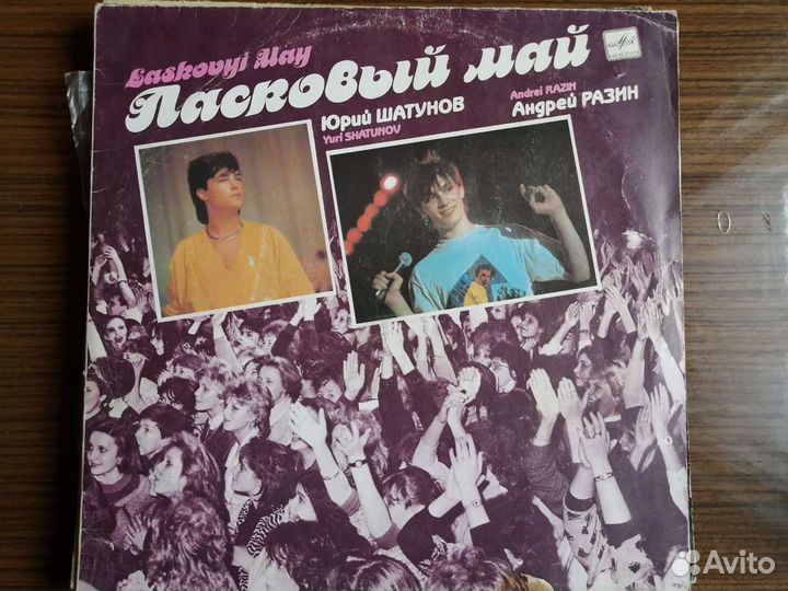 Виниловые пластинки