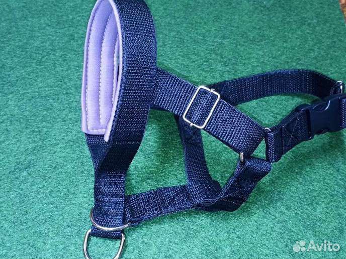 Ошейники для собака под заказ