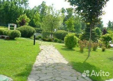 Продажа Рулонного газона