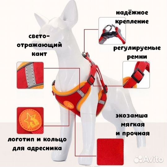 Шлейка и поводок для собак