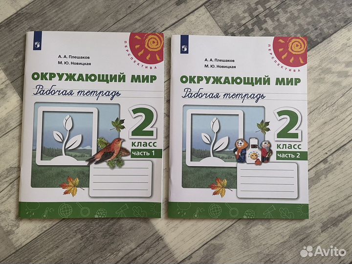 Рабочая тетрадь по окружающему миру 2 класс