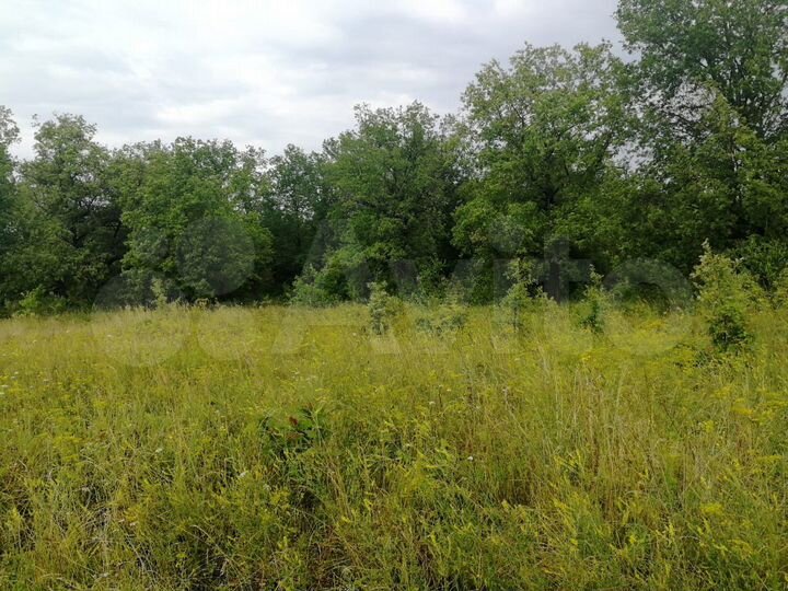 Участок 75 сот. (ИЖС)