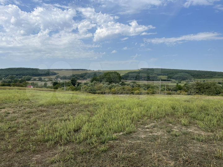 Участок 41 сот. (СНТ, ДНП)