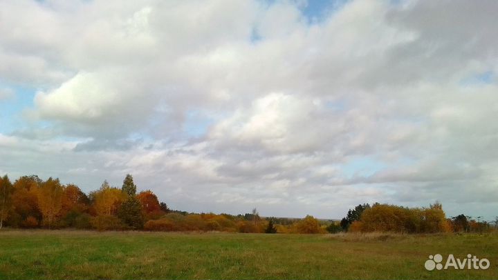 Конные прогулки