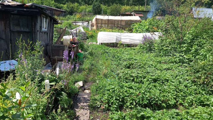 Участок 9 сот. (СНТ, ДНП)