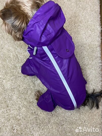 Одежда и аксессуары для животных