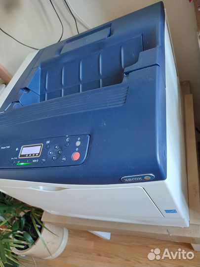 Принтер Xerox Phaser 7100 и 5 новых катриджей