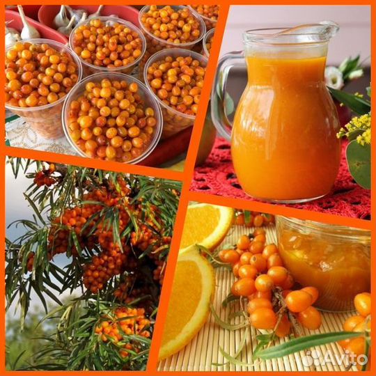 Облепиховое варенье