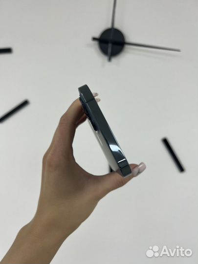 iPhone 12 Pro Max, 256 ГБ