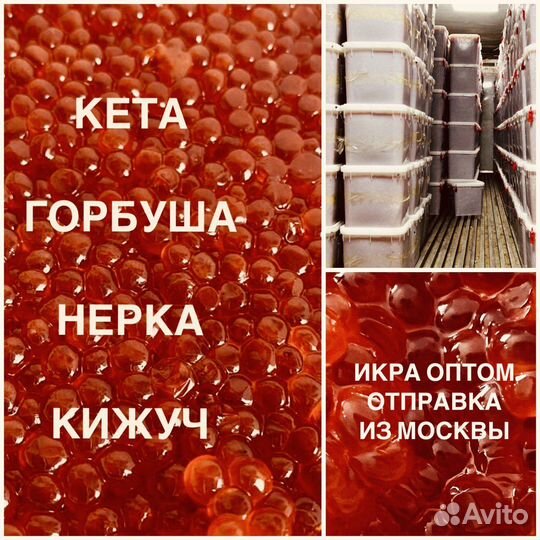 Икра красная. Опт. Отгрузка из Москвы от кубика