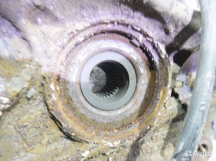 Кулак задний левый